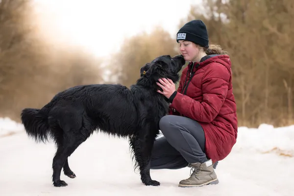 Pies do adopcji, Nowodwór, 8 kwietnia 2026 (4/5)