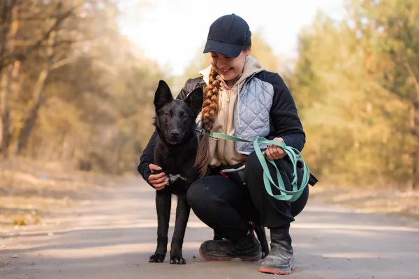 Pies do adopcji, Nowodwór, 8 kwietnia 2026 (1/5)