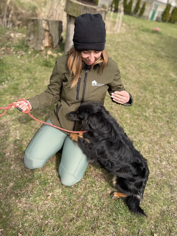 Pies do adopcji, Bełchatów, 20 marca 2026 (4/5)