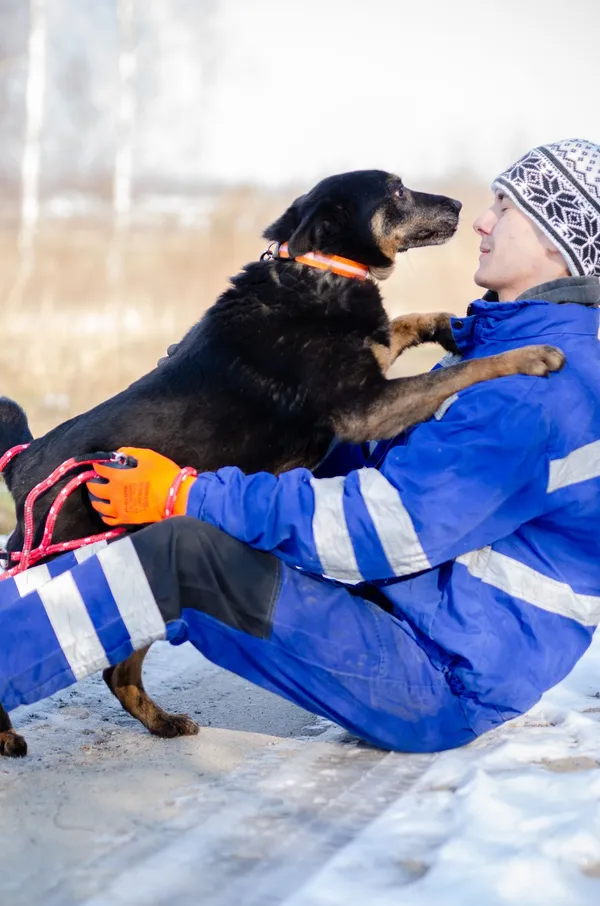 Oddam psa, Gdańsk, Aniołki, 12 kwietnia 2026 (4/4)