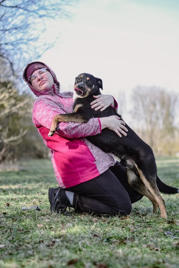 Pies do adopcji, Radom, 13 kwietnia 2026 (3/5)