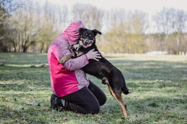 Pies do adopcji, Radom, 13 kwietnia 2026 (4/5)