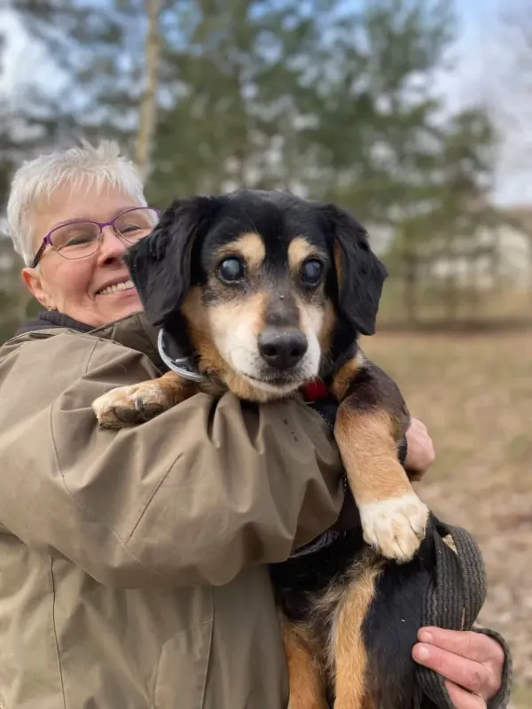 Pies do adopcji, Milanówek, 13 kwietnia 2026 (2/5)