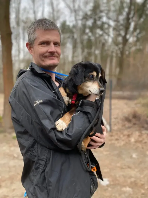 Pies do adopcji, Milanówek, 13 kwietnia 2026 (5/5)