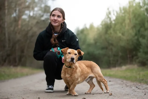 Pies do adopcji, Nowodwór, 21 kwietnia 2026 (2/5)
