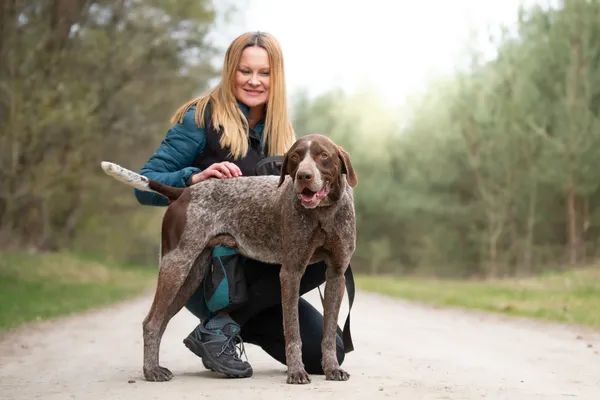 Pies do adopcji, Nowodwór, 22 kwietnia 2026 (2/5)