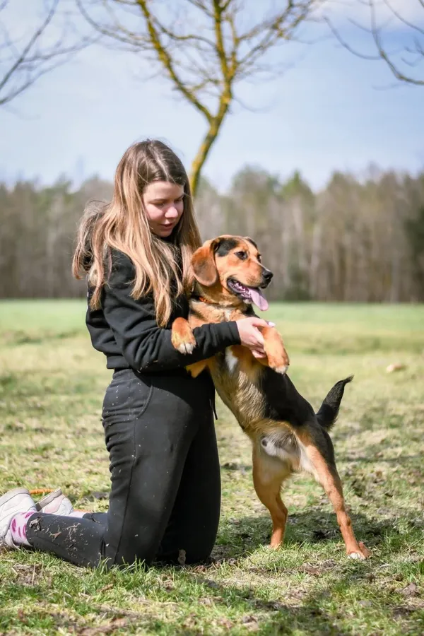Pies do adopcji, Radom, 3 maja 2026 (2/5)