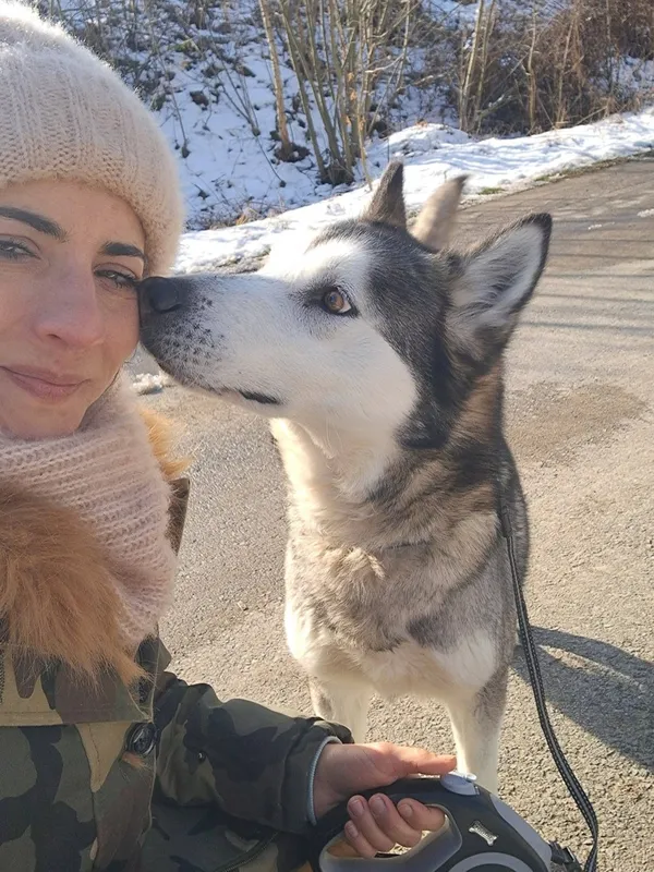 Pies do adopcji, Tychy, 3 lutego 2026