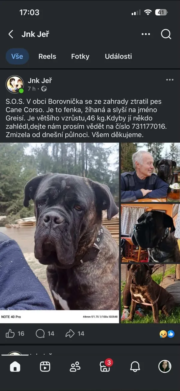 Zaginął pies, Dolní Radechová, 5 maja 2026 (2/2)