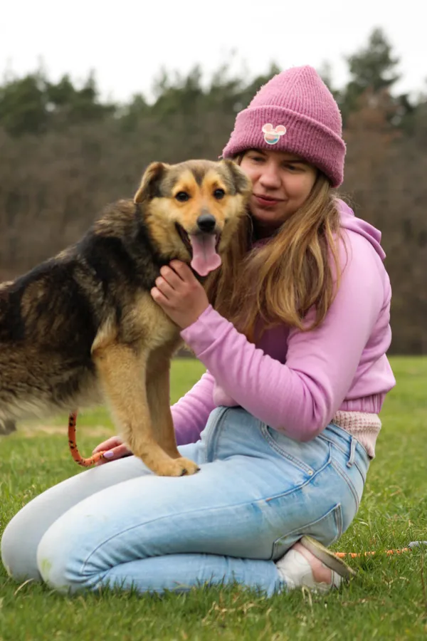Pies do adopcji, Radom, 21 maja 2026 (4/5)
