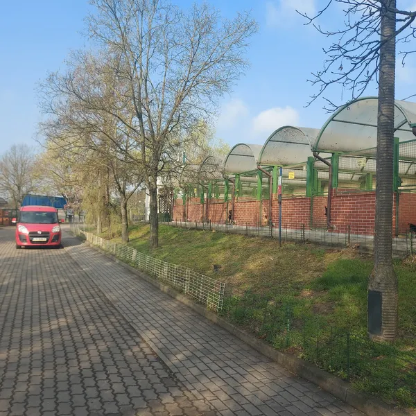 Pies do adopcji, Bydgoszcz, 27 maja 2026 (1/2)