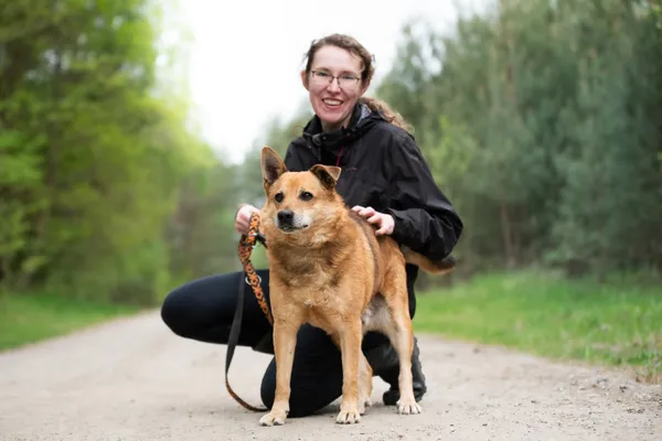Pies do adopcji, Nowodwór, 31 maja 2026 (3/5)