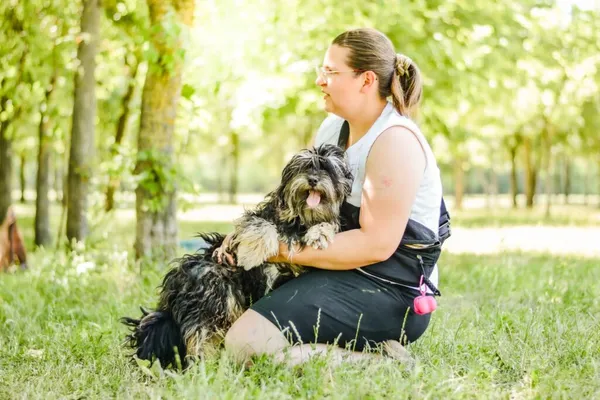 Pies do adopcji, Radom, 1 lipca 2026 (3/5)