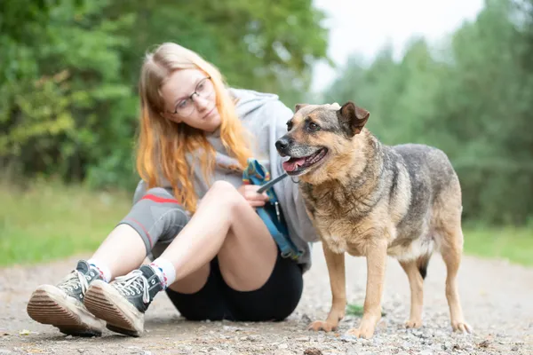 Pies do adopcji, Nowodwór, 1 września 2026 (3/5)