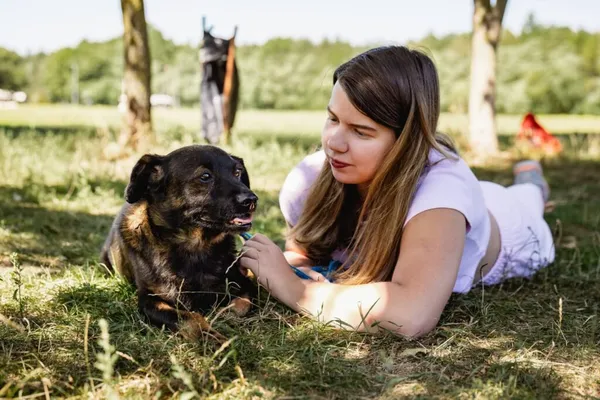 Pies do adopcji, Radom, 2 września 2026 (2/5)