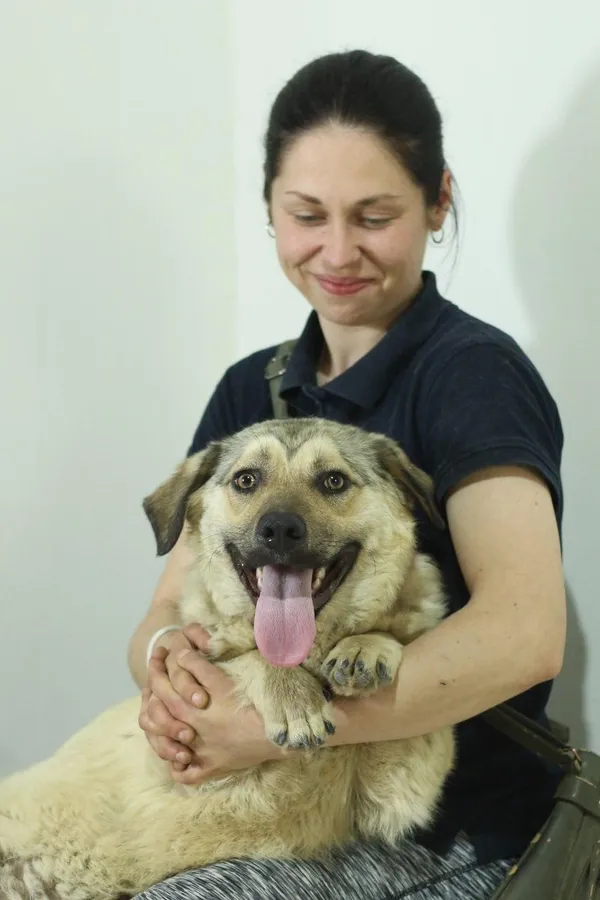 Pies do adopcji, Orzechowce, 30 września 2026 (5/5)