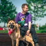 Pies do adopcji, Warszawa, 2 lipca 2020