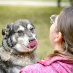 Antoś