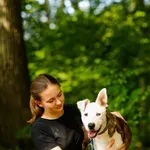 Pies do adopcji, Elbląg, 21 sierpnia 2022