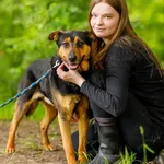 Pies do adopcji, Elbląg, 9 czerwca 2022