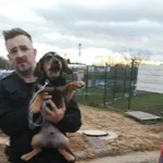 Znaleziono psa, Bydgoszcz, 2 grudnia 2021