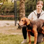 Pies do adopcji, Czartki, 29 listopada 2020