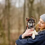 Pies do adopcji, Elbląg, 4 marca 2023