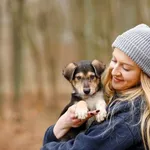 Pies do adopcji, Elbląg, 4 marca 2023