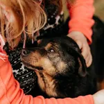 Pies do adopcji, Czartki, 29 kwietnia 2019