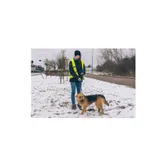 Znaleziono psa, Białystok, 8 stycznia 2023