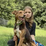Pies do adopcji, Zgierz, 13 grudnia 2019