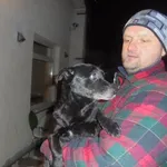 Znaleziono psa, Radom, 6 stycznia 2017