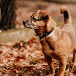 Florek 616093901200692