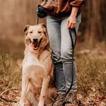 Barney 616093901767916