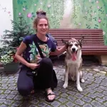 Pies do adopcji, Sosnowiec, 10 grudnia 2018