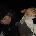 Znaleziono psa, Radom, 5 stycznia 2017