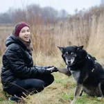 Pies do adopcji, Sosnowiec, 14 października 2019