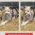 Shazza 616093902277326