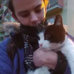 Znaleziono kota, Łódź, 22 lutego 2022