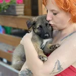 Pies do adopcji, Głowno, 25 czerwca 2023