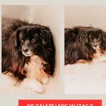 Puszek 616093901077926