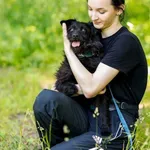 Pies do adopcji, Elbląg, 16 maja 2023