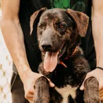 Brego 616093902338619