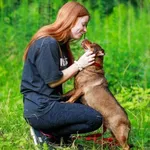 Pies do adopcji, Elbląg, 2 sierpnia 2023