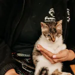 Kot do adopcji, Czartki, 9 października 2023