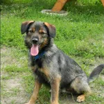Porucznik*