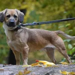 Suczka poz. 23/0655 rezerwacja