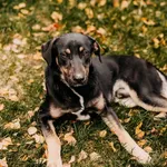 Bruno 616093902342075