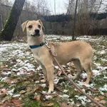 12759/259/23 Luna - data przyjęcia - 28.11.2023