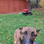 Archie 616093902283013